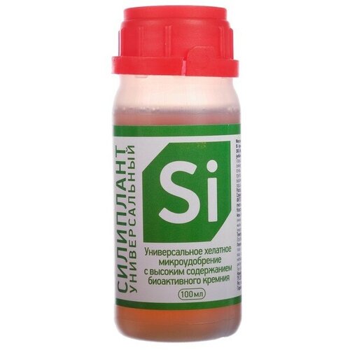 ���� ��������� 100 �� ������ ������