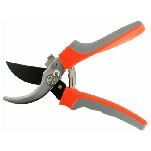 ���� ������� ������� ���������������� / �������� �� ������������������ ����� / ������� Mirus Group ������ ������