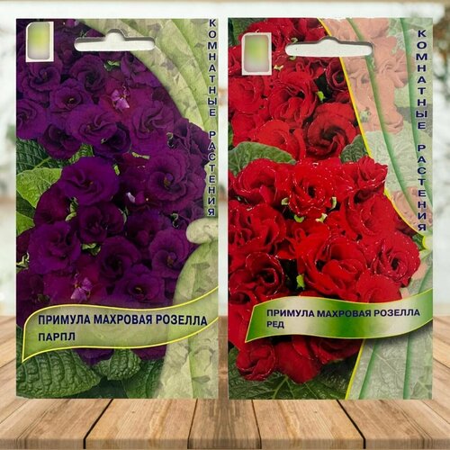 ���� ������ ������ ��� ���� � ���� ������� ��������, ����� 2 ��. ������ ������