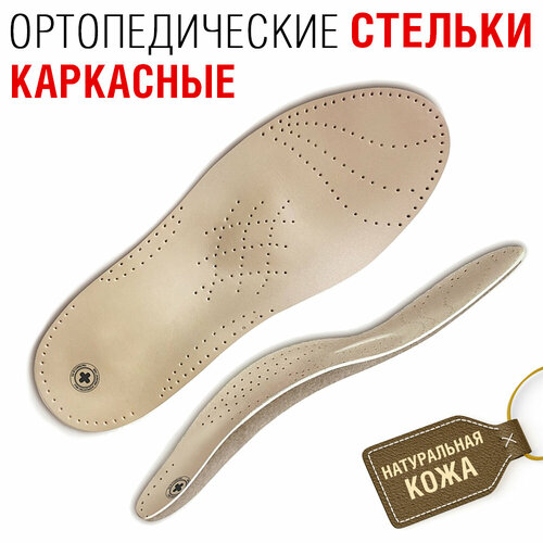 ���� �������������� ������� ��� ����� TD-203, ���������, �������, � ������� ����������, 46 ������ ������