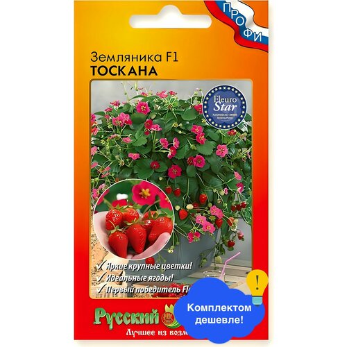 ���� ������ ������ ������� ������ 