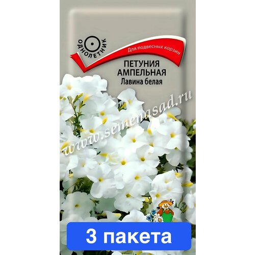 ���� ����� ������� ��������� ������ ����� F1 ����� 3 ������ ������ ������