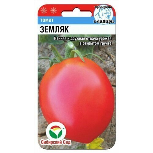 ���� ������ ����� ������ 20�� ��� ������ (��������� ���) ������ ������