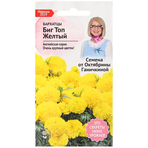 ���� �������� ��� ��� ������ 10 �� / ������ ���������� ������ ��� ���� / ���������� ����� ��� ������� � ����� / ��� ���� ���� ���� / ������ ������