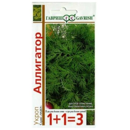 ���� ����� ���������, ������ ������ ����� 1+1 4� ������ ������