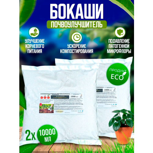 ���� ������ - ������������ ��������� ��������������� ��������� ��������������� 20 �. ������ ������