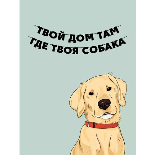 ���� �������� �������� �� ���� ������ - ���� ������ ������ ������