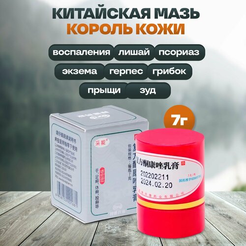 ���� ���� ������ ����, 7 �� ������ ������