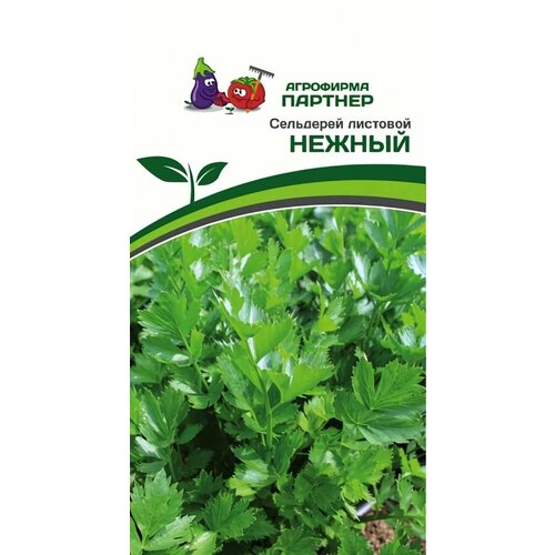 ���� ������ ������ ��������� ������� 