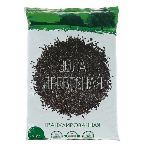 ���� ��������� ���-���� ���� ��������� ���������������, 2 �, 2000 �, 1 ��. ������ ������