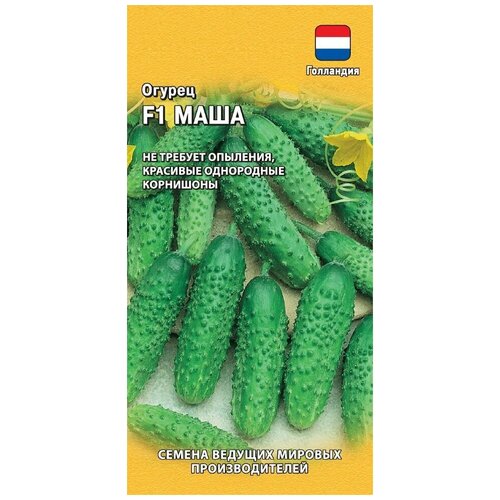 ���� ������ ������ ���� F1 �������� ���������, ������� �� 5 ����� ������ ������