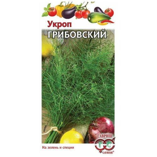 ���� ������ ������ ����� ����������, 3 � ������ ������