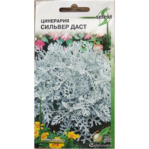 ���� ��������� ������� ����, 15 ����� ������ ������