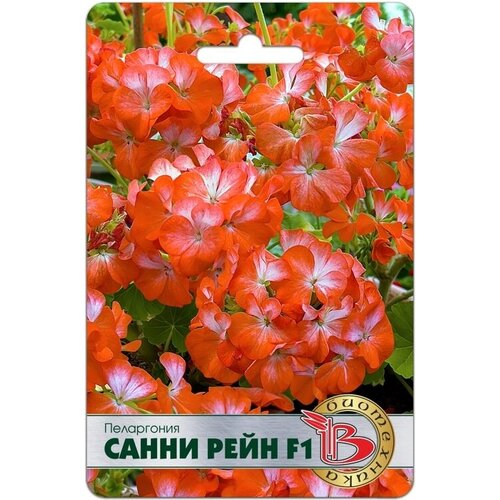 ���� ������ ���������� 