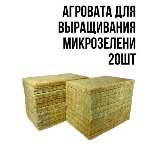 ���� �������� ��� ����������� ����������� 20�� ������ ������