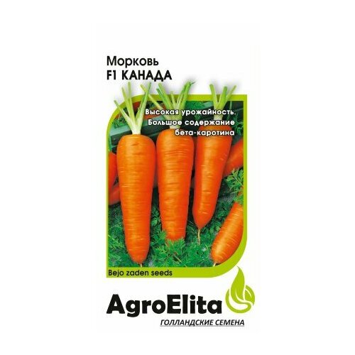 ���� ������ ������� ������ F1 0,3� ������� (���������) ��������� ���� ������ ������