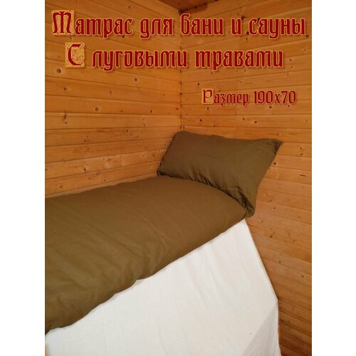 ���� SENO OK ������ ��� ���� � ����� � �������� ������� ������ ������