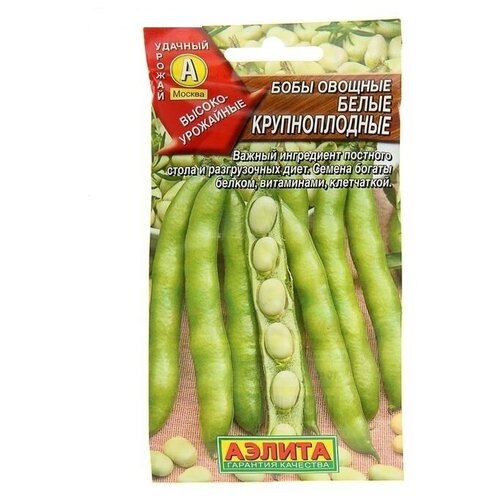 ���� ���� ������� 