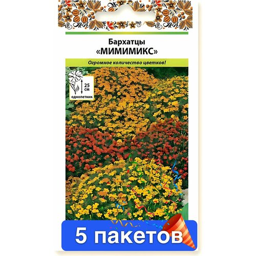 ���� ����� �������� �������� 5 ������� ������ ������