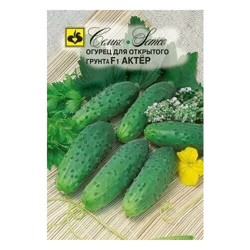 ���� ������ ����� F1, ������ ����� 1� ������ ������