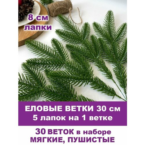 ���� ������ ����� �������������, ����� ������, ��������������, 5 ����� �� ����� 30 ��, ����� 30 �����. ������� ������ ������