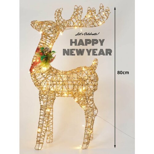 ���� ����� ���������� ��� ����, ������������ 80 �� ������ ������