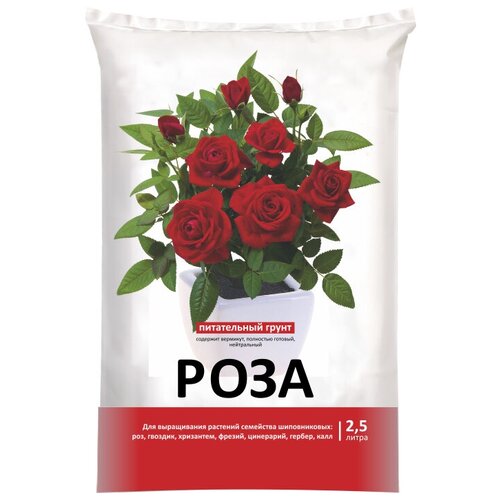 ���� ����� ���-���� ��� ���, 2.5 �, 1.52 �� ������ ������