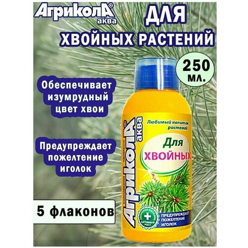 ���� ��������� �������� ���� ��� ������� �������� 250 ��. 5 �� ������ ������