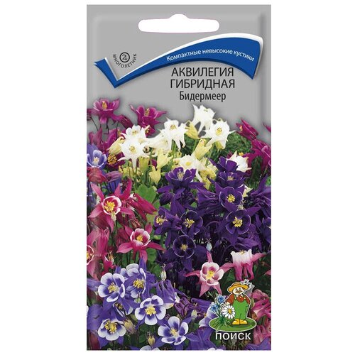 ���� ������ ����� ��������� ��������� ��������� 0.1 � ������ ������