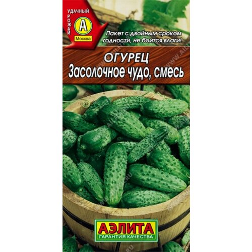 ���� ������ ������ ���������� ���� 20�� ����� �� ������ (������) ������ ������