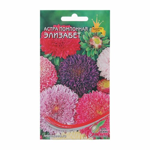 ���� ������ ������ ����� ��������� 