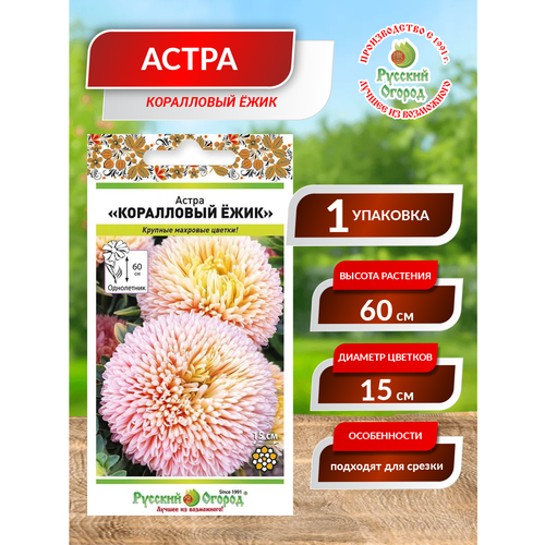 ���� ����� ���������� ���� ������ ������