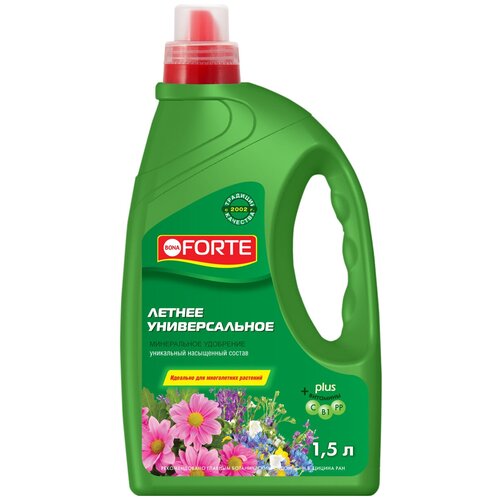 ���� ��������� BONA FORTE ������ �������������, 1.5 �, 1934 �, 1 ��. ������ ������