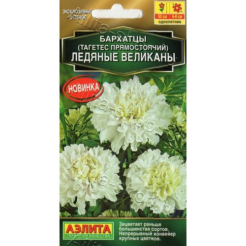 ���� ������ �������� ������� �������� ������������ 7��. (������) ������ ������