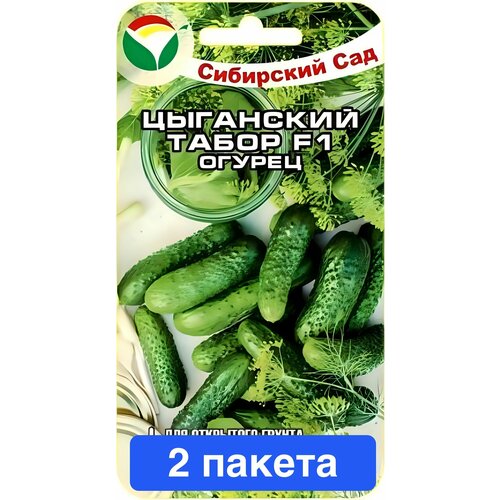 ���� ������ ������ ��������� ��� 