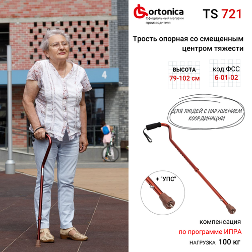 ���� ������ ����������� �� ��������� ������� ������� ����������� Ortonica TS 721 � ��� ������ ������ ������
