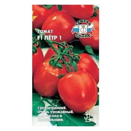 ���� ����� ���� ������ F1 (3 ��������), ������ ������ ������