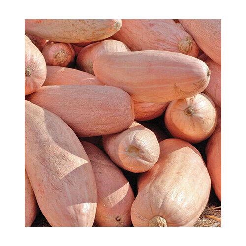 ���� ����� ������� ����� (�� 5 �� 18 ��) 1 ��. ������ ������