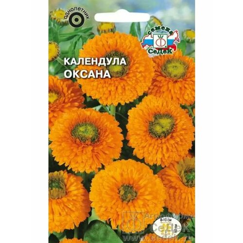 ���� ��������� 