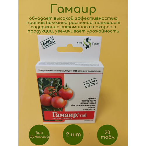 ���� ������������� ���������� ��� ������ ������ 2 �� �� 20 ���. ������ ������