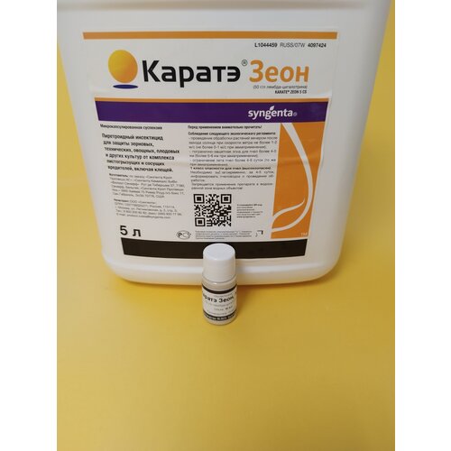 ���� ���������� ������ ���� �� ���������-���������� 10 �� ������ ������