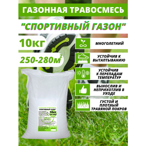 ���� �������� ����� ������, ����� �������� 10 �� ������ ������