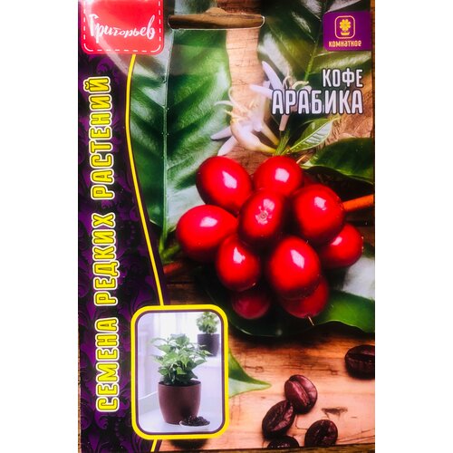 ���� ������ ���� 