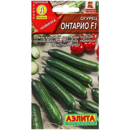 ���� ������ ��������� ������ ������ ������� F1, 10�� ������ ������