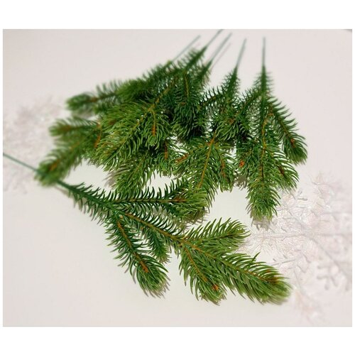 ���� ����� ������ 10 ��. �� ������������� ����� . ���� ������-������, 6 �����. ������ 27 ��. ������ ������