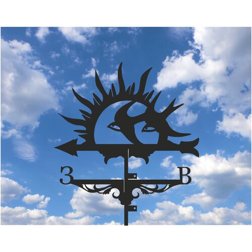 ���� ������ 