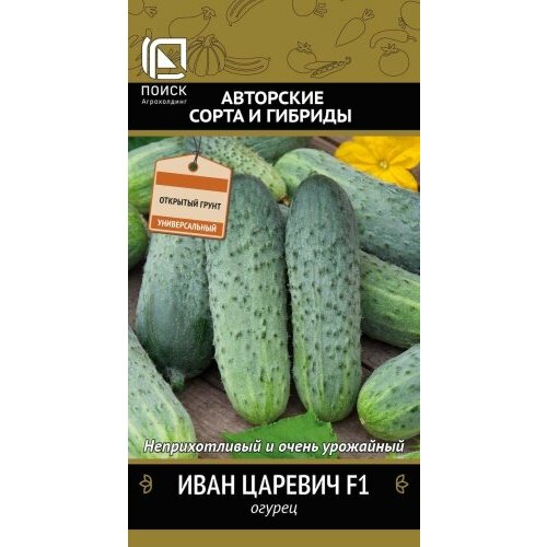 ���� ������ ������ ���� ������� F1 12�� �� ������ (�����) ����� ������ ������