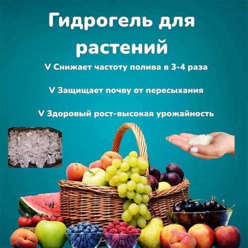 ���� ��������� ��� �������� �� �������� ������ (������� 1-2 ��) 500 �� ������ ������