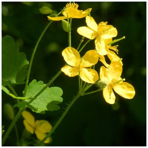 ���� ������ ������ �������� ������� 30 ��. ������ ������