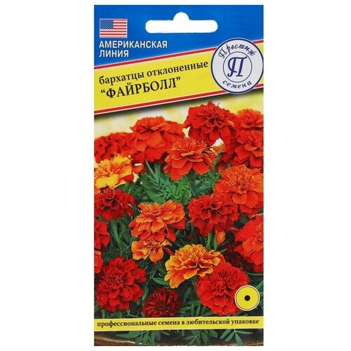 ���� ������. �������� 